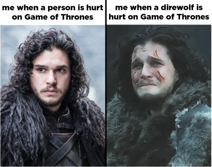 Funny Game Of Thrones Memes6