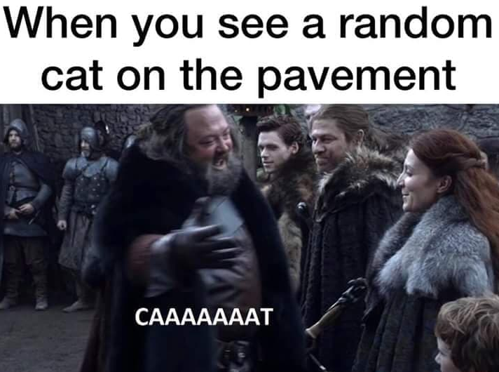 Funny Game Of Thrones Memes7