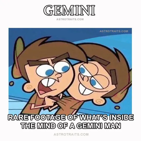 Inside Geminis Mind Funny Meme