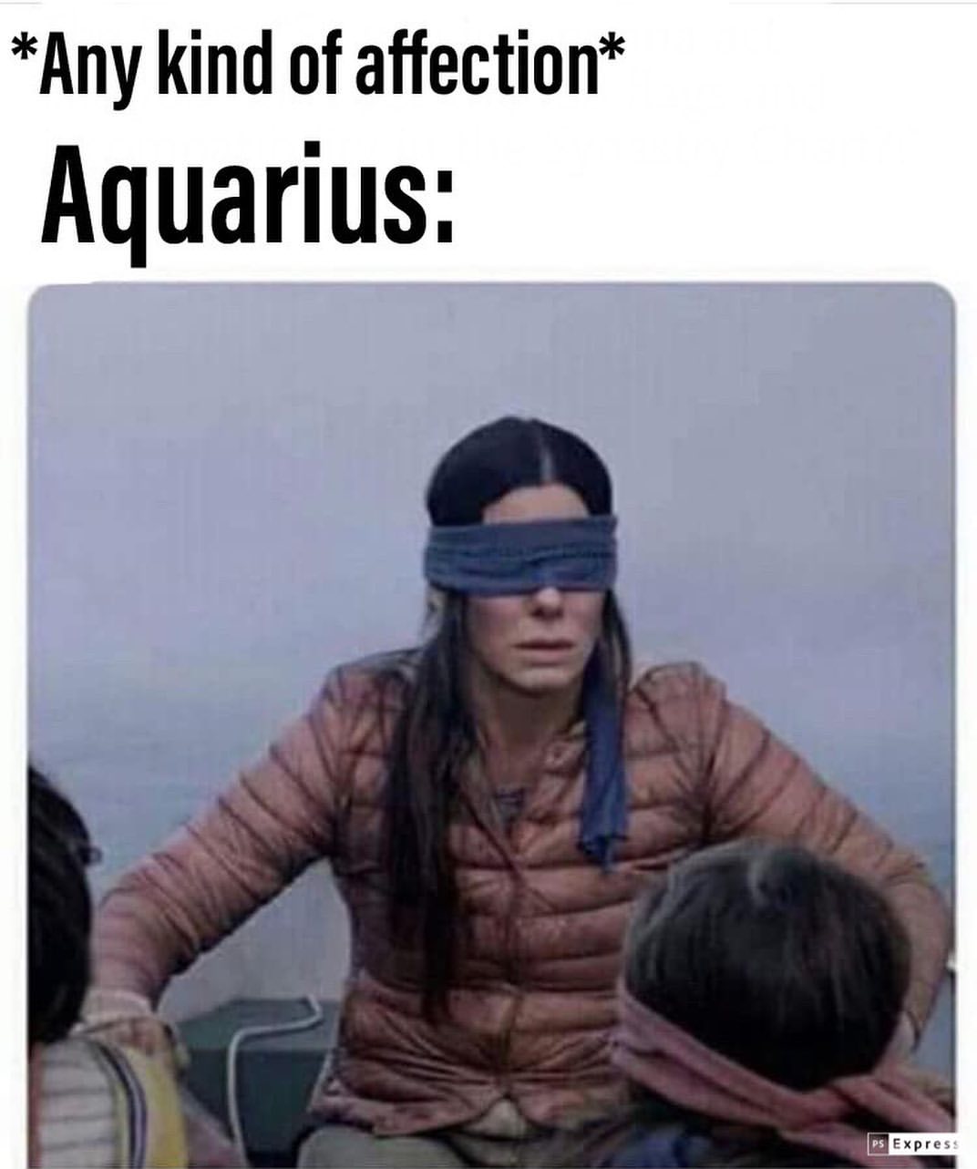 Any Kind Of Affection Aquarius Meme