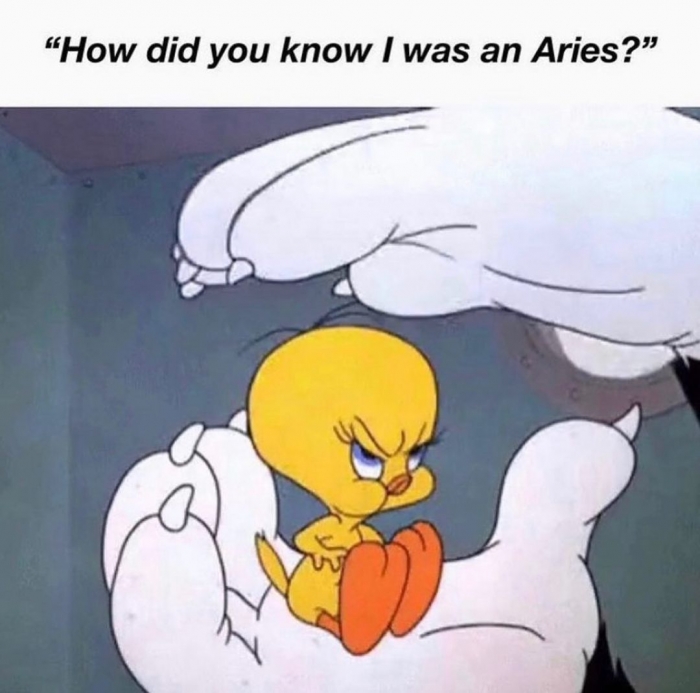 Aries Memes Images3