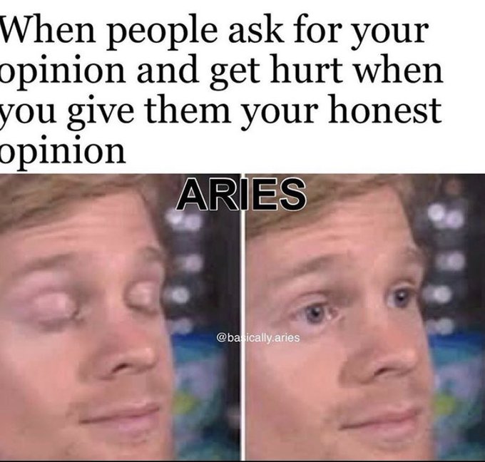 Aries Memes14