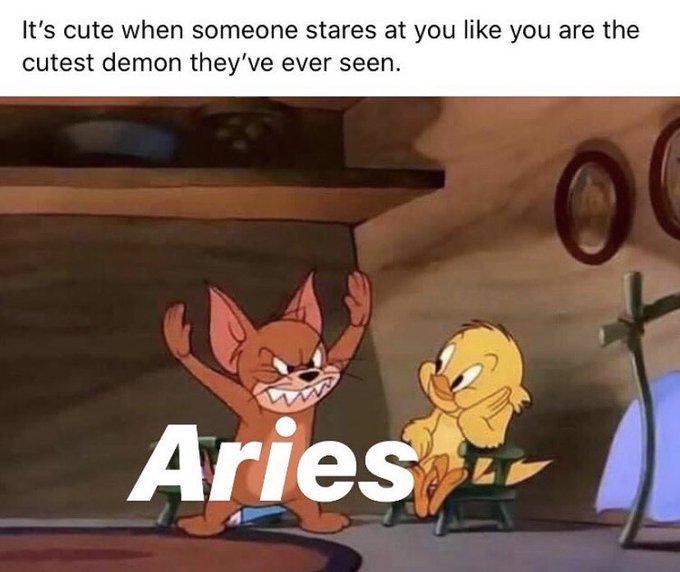 Aries Memes15