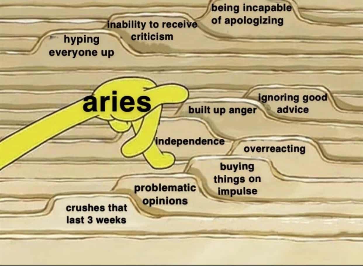 Aries Memes17