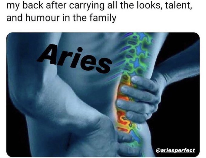 Aries Memes4
