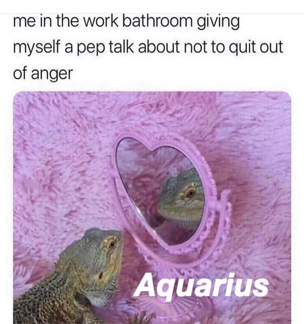 Funny Aquarius Memes Ourmindfullife.com 5