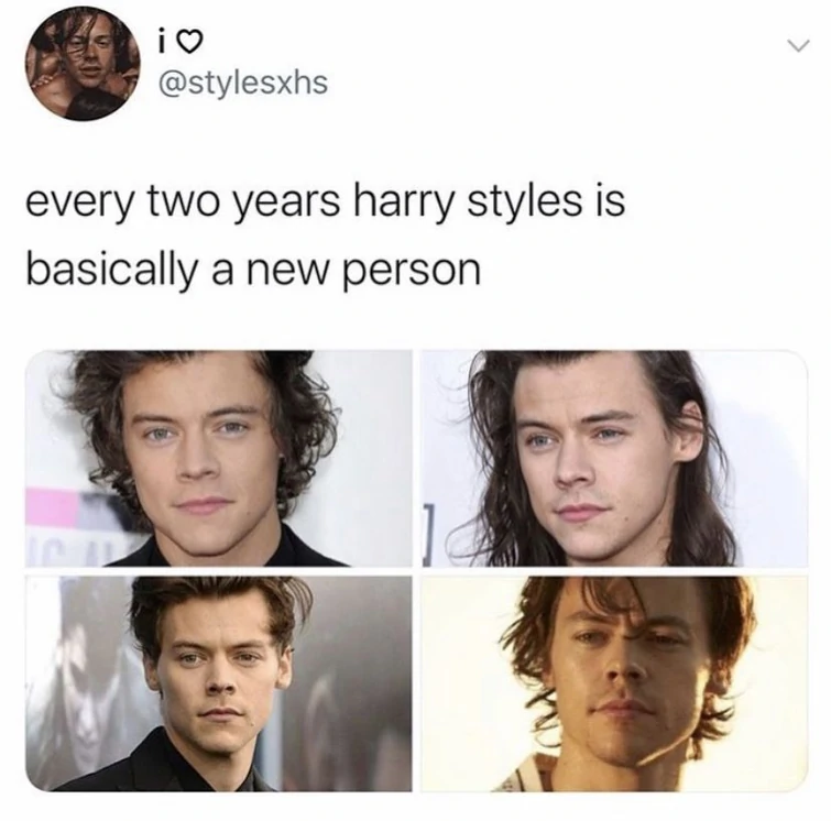 Funny Harry Styles Memes11