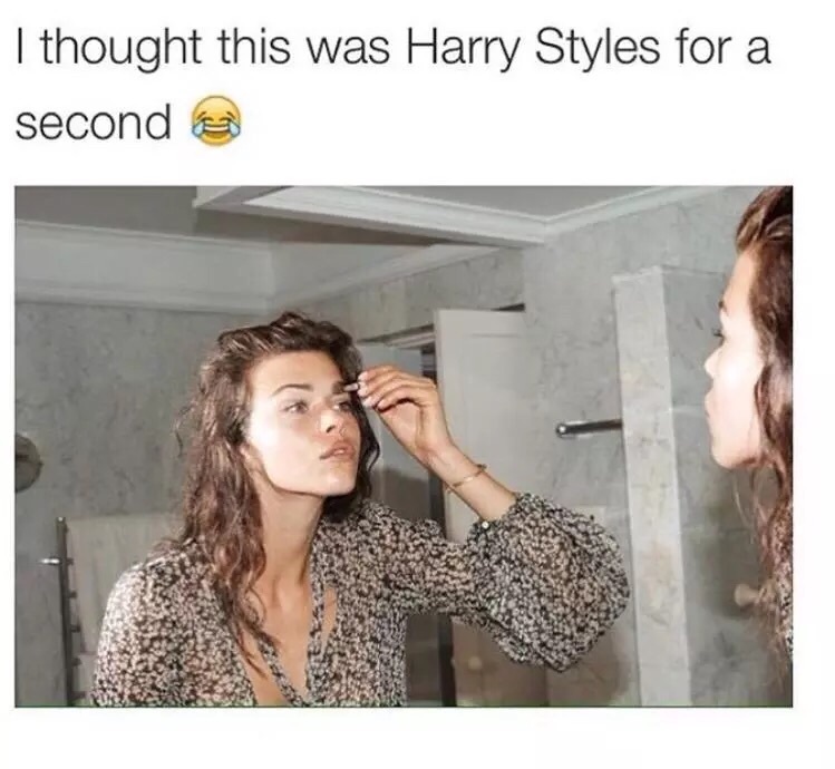 Funny Harry Styles Memes5