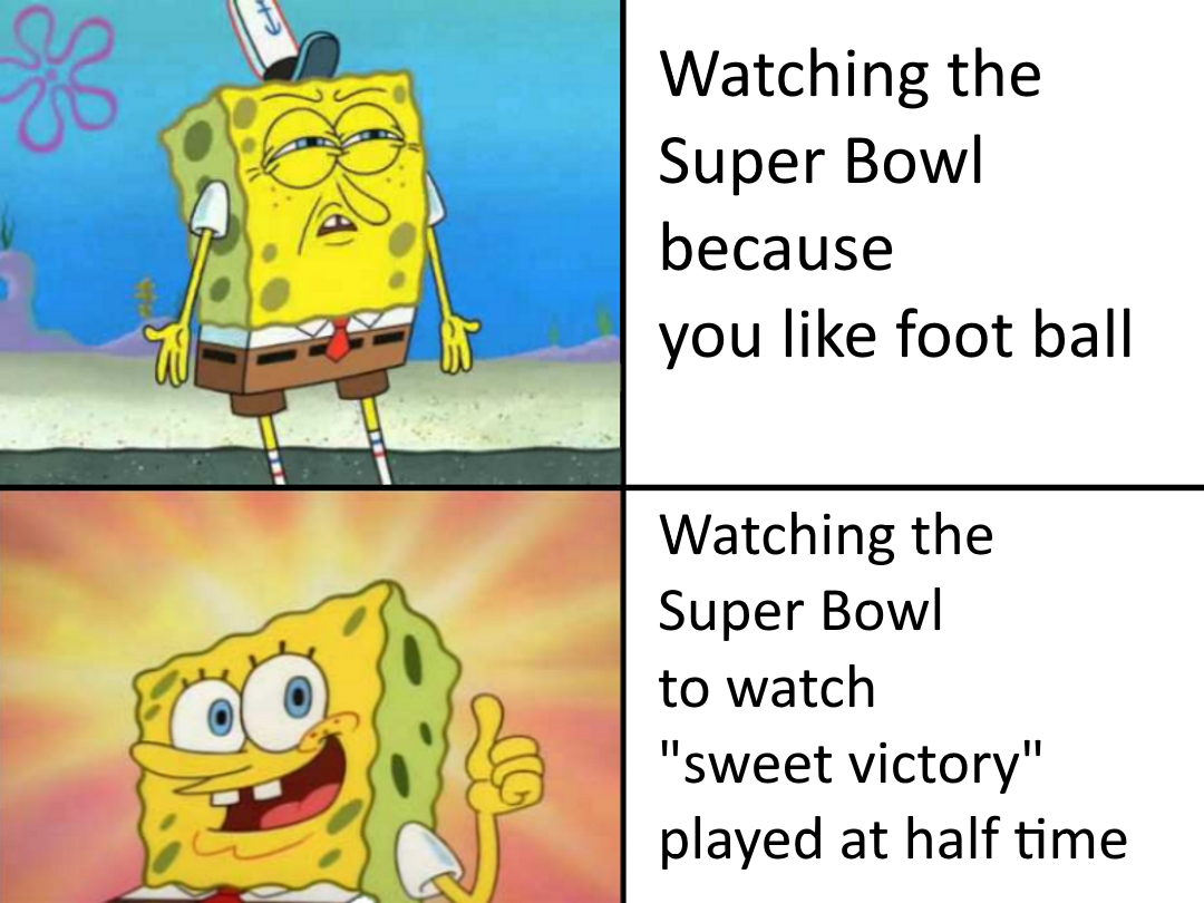 Funny Superbowl Memes 16