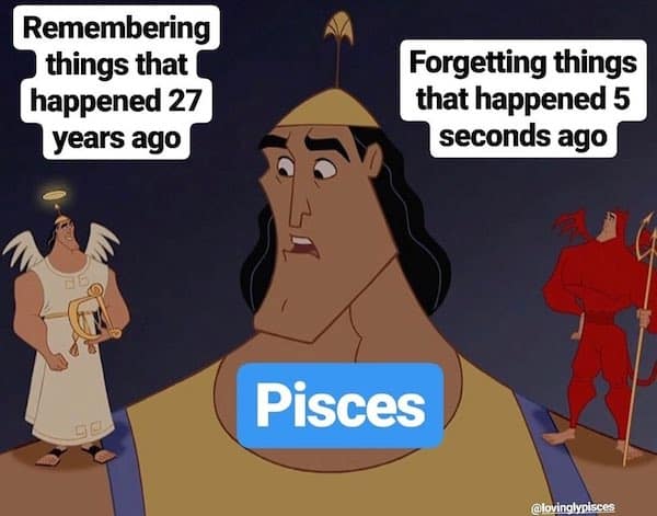 Funny And Accurate Pisces Memes Ourmindfullife.com 10