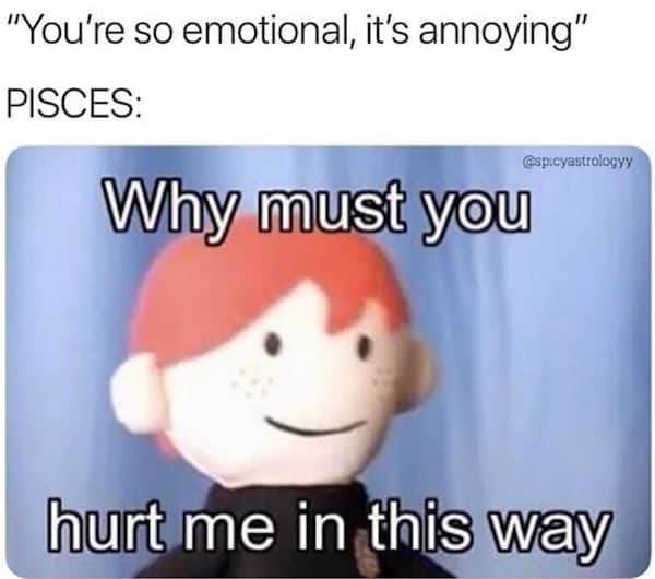 Funny And Accurate Pisces Memes Ourmindfullife.com 21