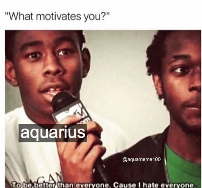 Funny Aquarius Memes 15