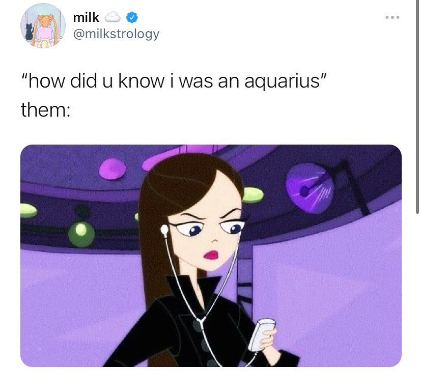 Funny Aquarius Memes 18