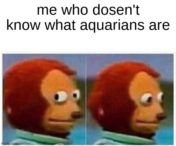 Funny Aquarius Memes 2