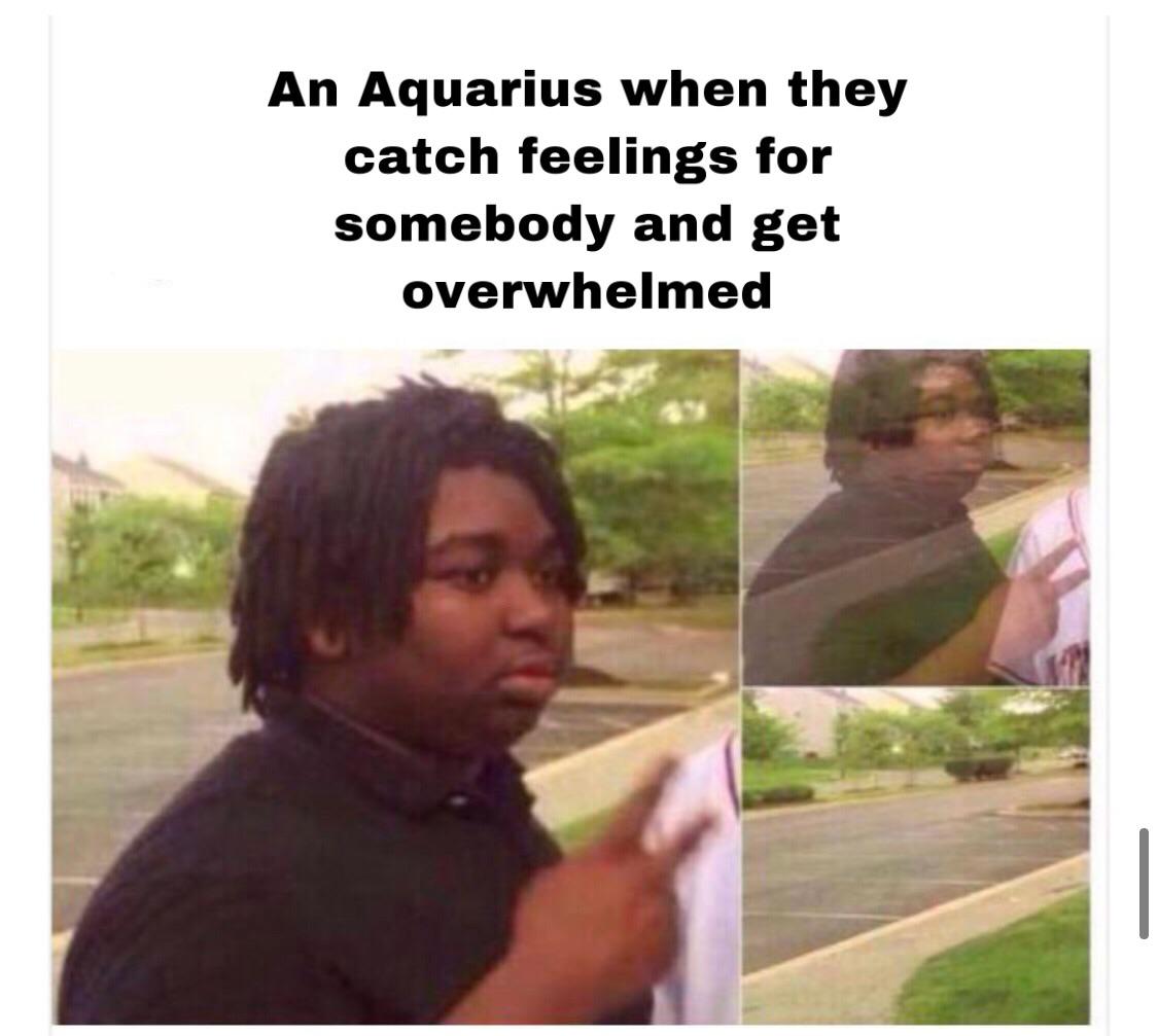 Funny Aquarius Memes 21
