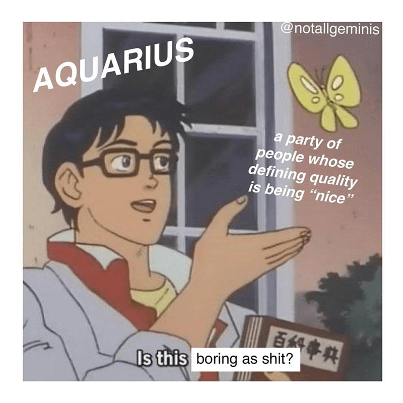Funny Aquarius Memes 26