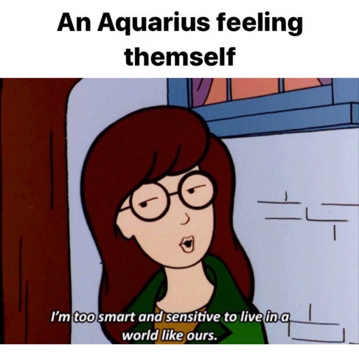 Funny Aquarius Memes 27