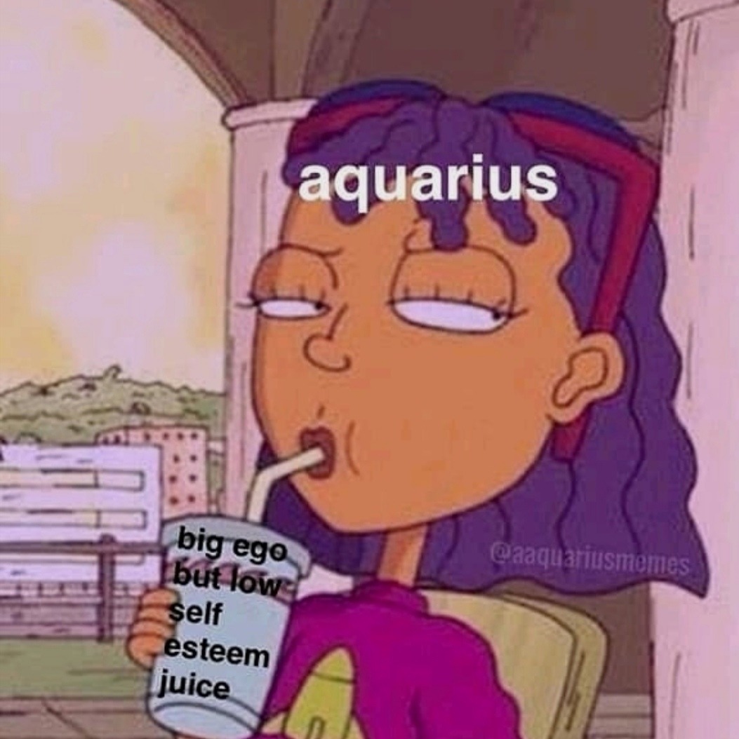 Funny Aquarius Memes 29