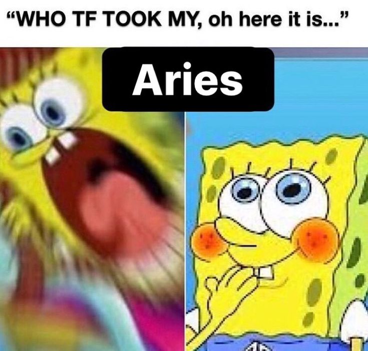 Funny Aries Memes14