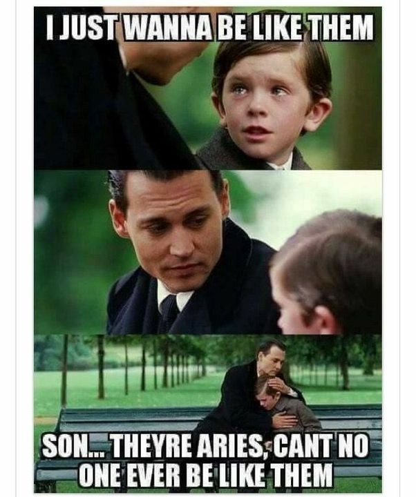Funny Aries Memes19