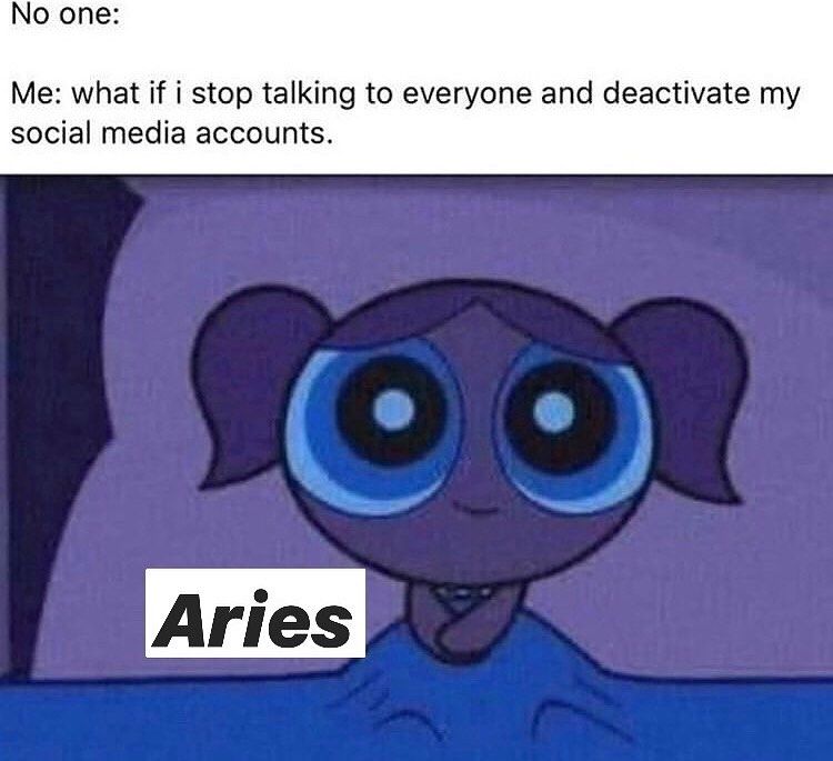 Funny Aries Memes2