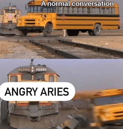 Funny Aries Memes21