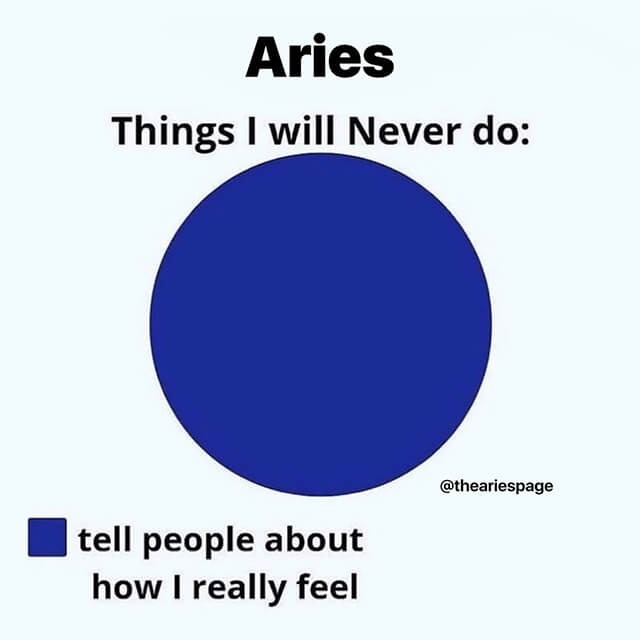 Funny Aries Memes5