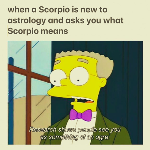 Funny Scorpio Memes 13