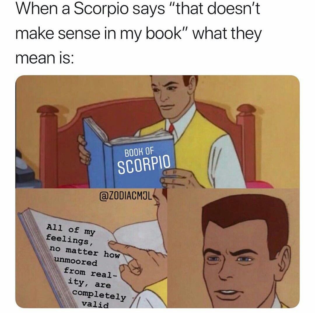 Funny Scorpio Memes 2