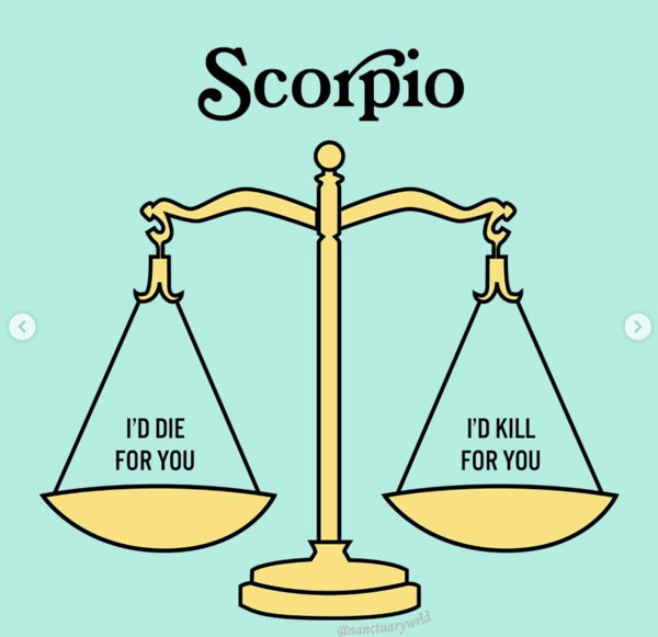 Funny Scorpio Memes 6
