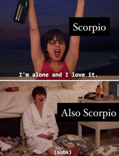 Funny Scorpio Memes Images1