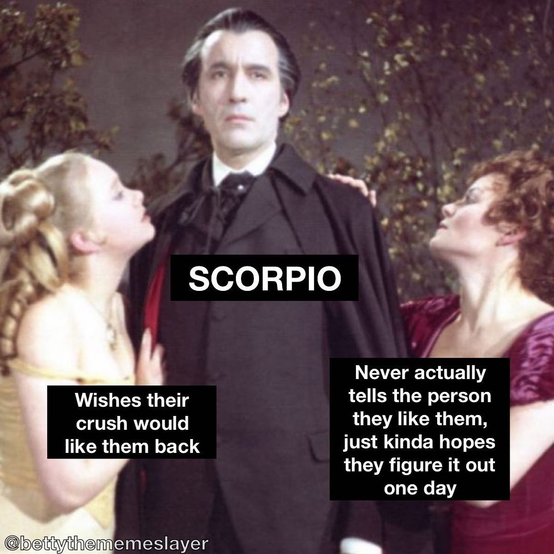 Funny Scorpio Memes Images16