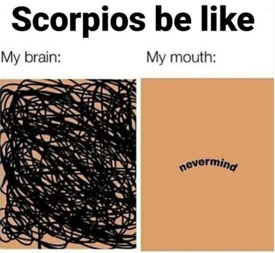 Funny Scorpio Memes Images2