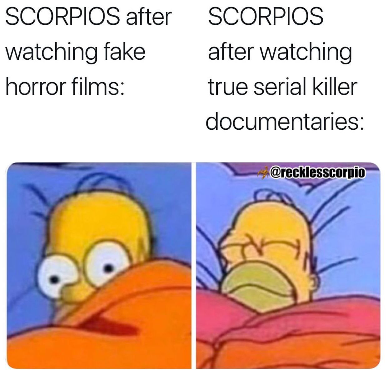 Funny Scorpio Memes Images7