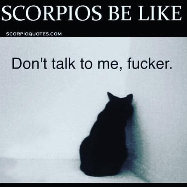 Funny Scorpio Memes Images8