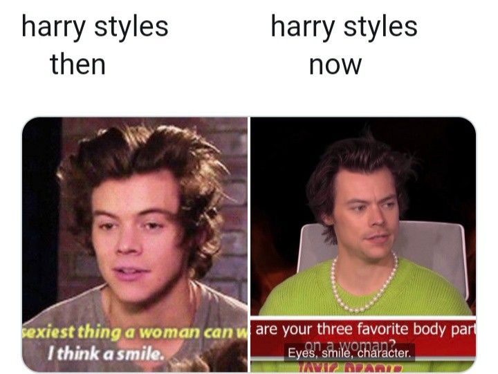 Harry Styles Memes12