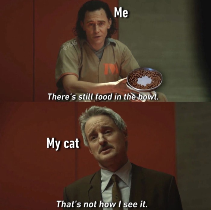 Loki Memes 4