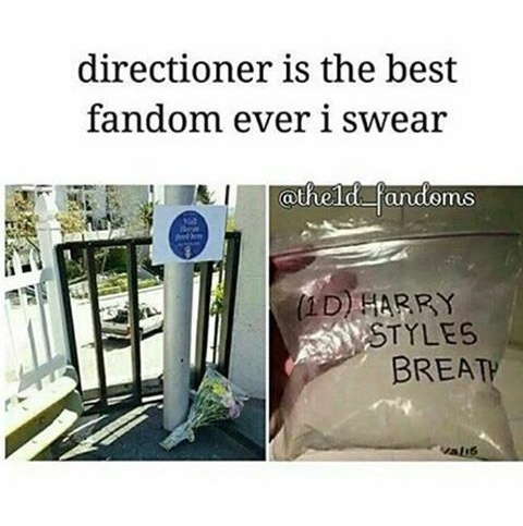 One Direction Band Memes 7