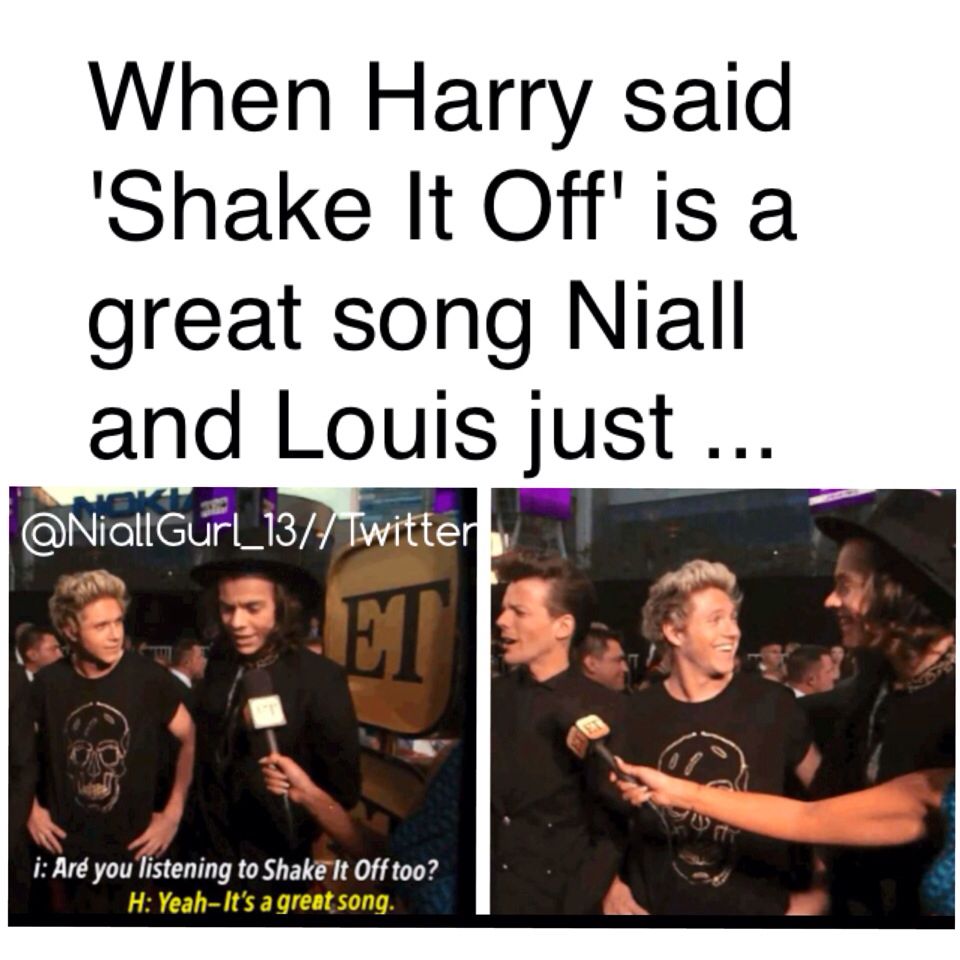 One Direction Memes 11