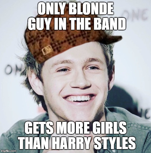 One Direction Memes 2