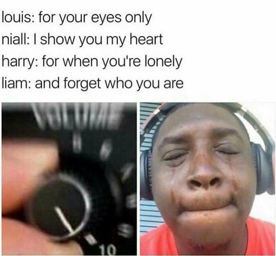 One Direction Memes 20