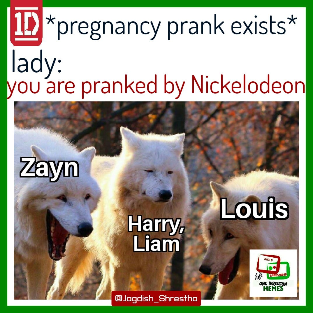 One Direction Memes 21