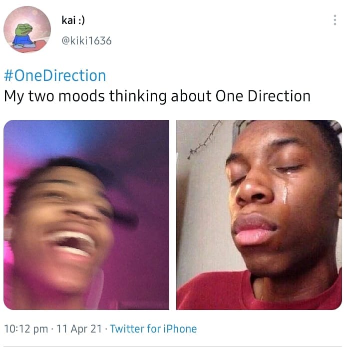 One Direction Memes 25