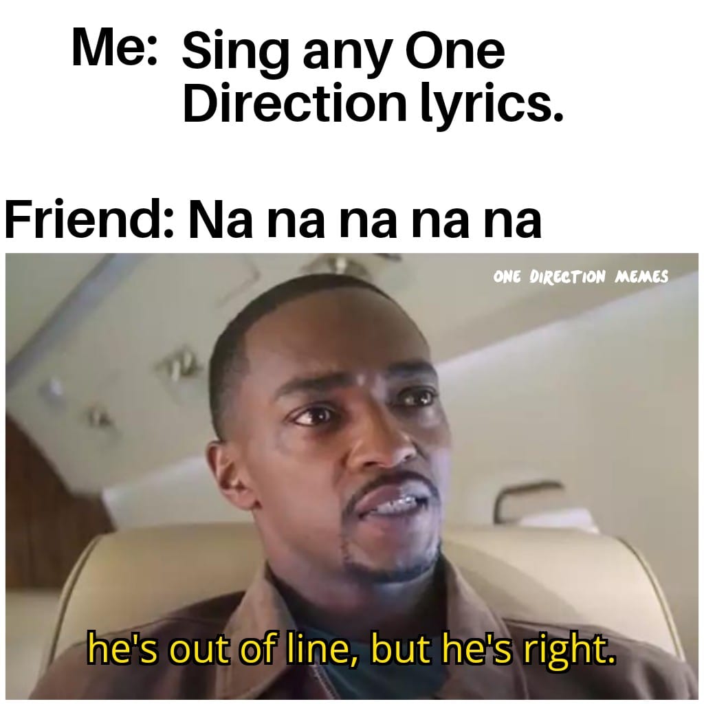 One Direction Memes 29