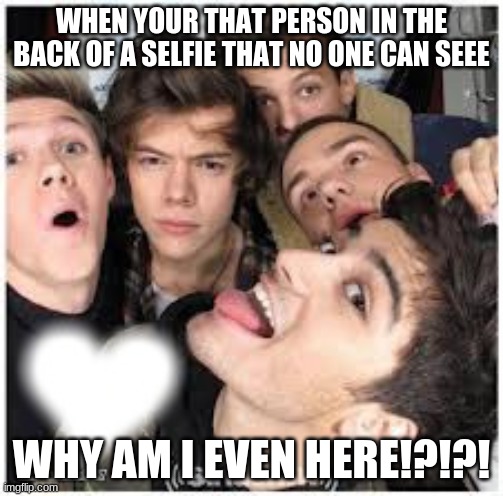 One Direction Memes 3