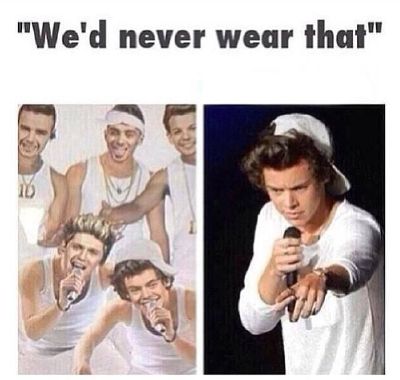 One Direction Memes 4