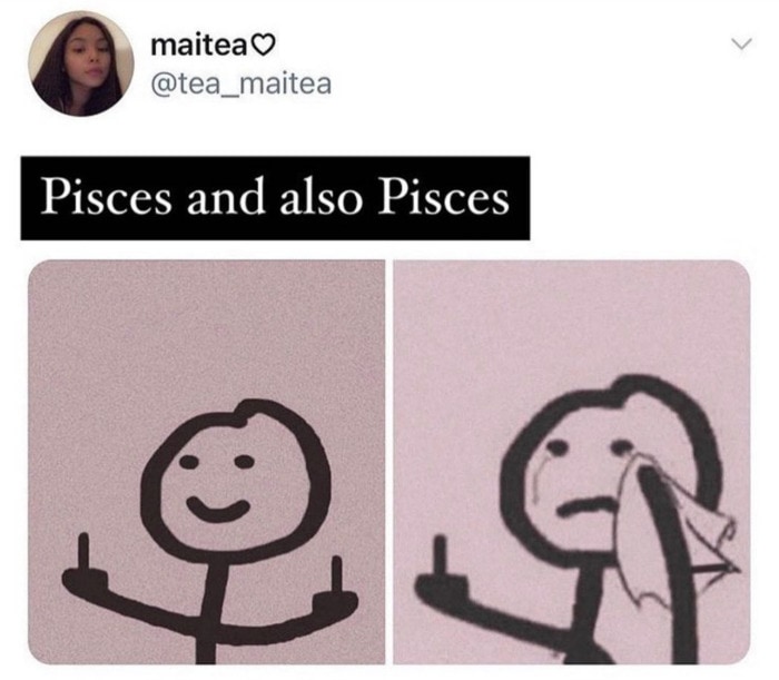 Pisces Memes 6