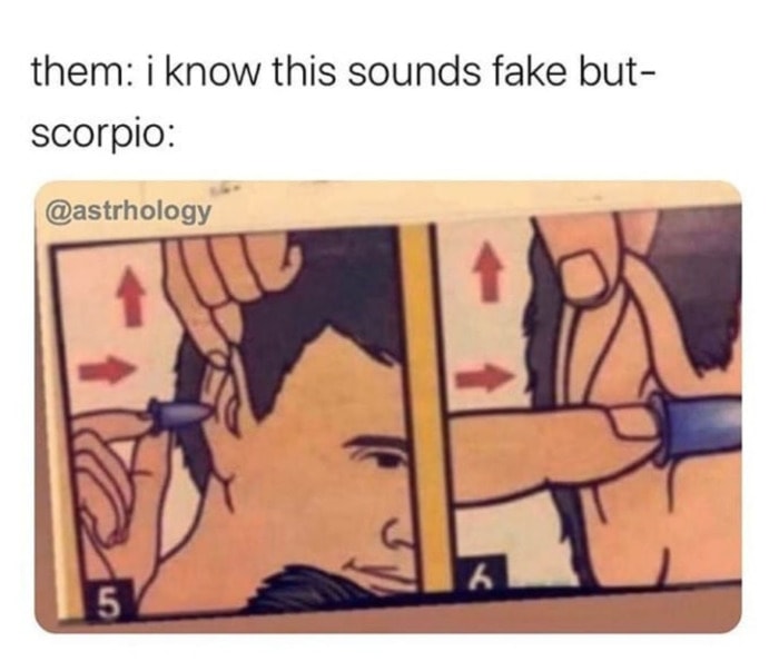 Scorpio Memes 4