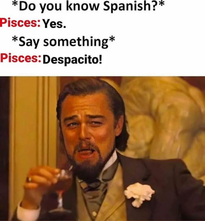 These 15 Pisces Memes Will Brighten Up Your Day Watch Till The End01