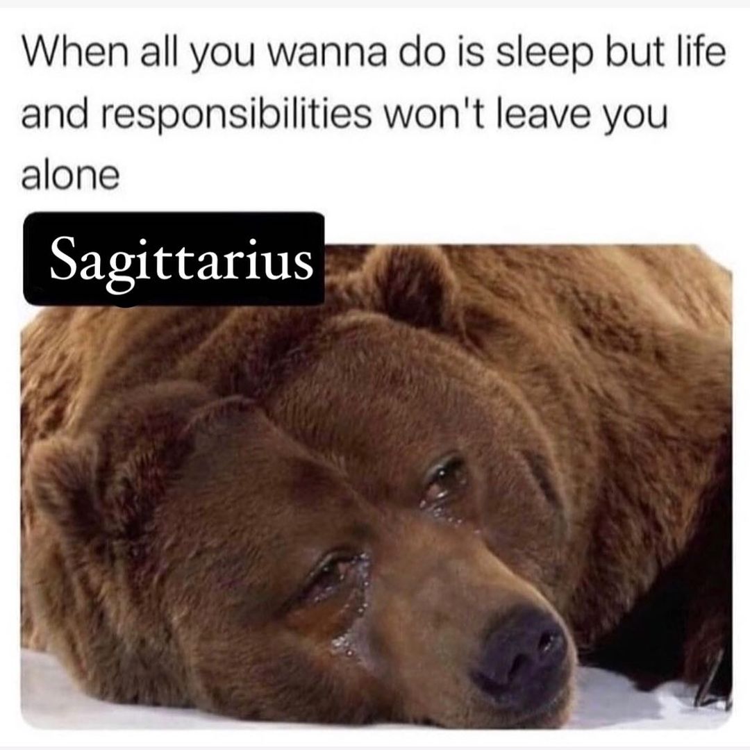 Zodiac Sagittarius Meme4